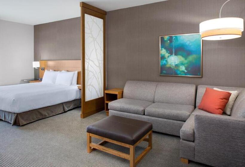 Номер Стандарт Адаптированный для Инвалидов, Hyatt Place Dallas/the Colony