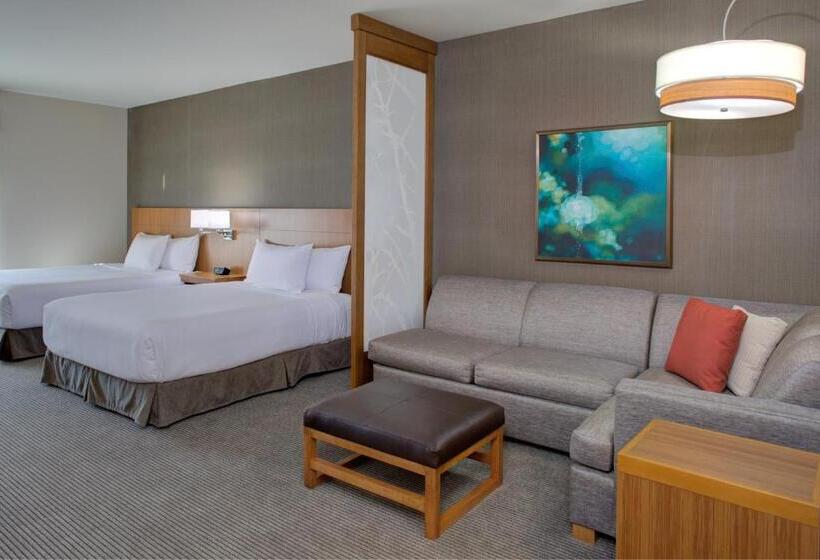 Номер Стандарт Адаптированный для Инвалидов, Hyatt Place Dallas/the Colony