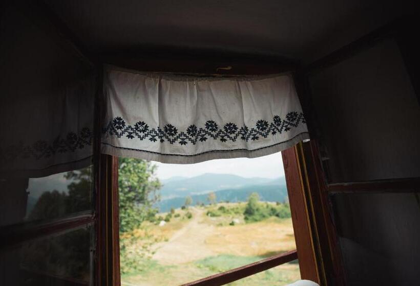 Quarto Quádruplo Estandar, Household šain