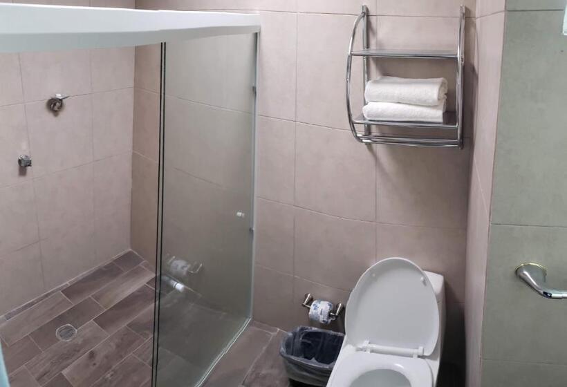 اتاق استاندارد با تخت بزرگ, Casa Barcelona San Luis Potosí