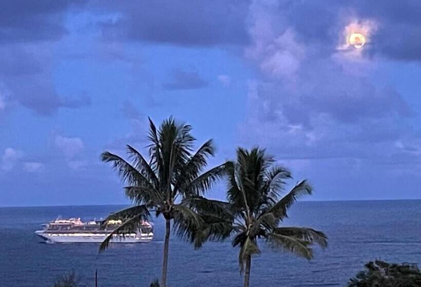 اتاق استاندارد با تخت بزرگ, Magic Skies B&b