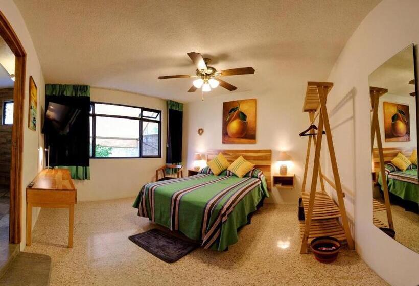 اتاق استاندارد, Luz Casa De Huespedes