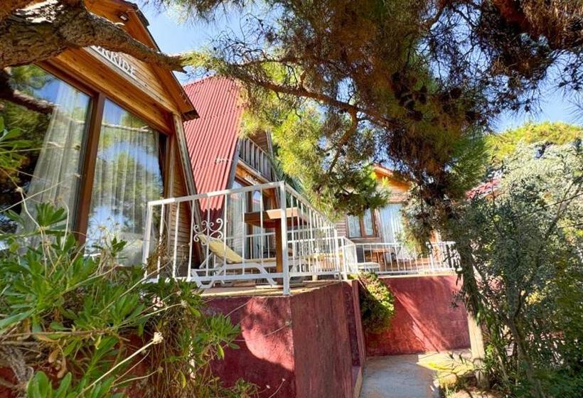 Семейный Номер, Gaia Bungalow
