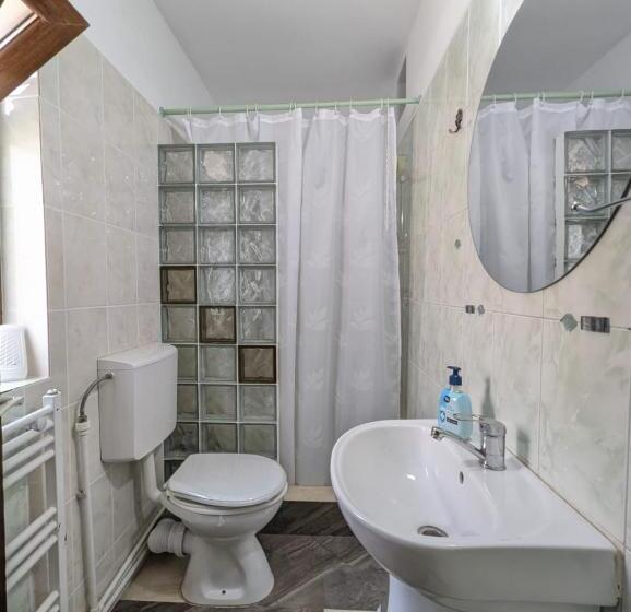 Номер Стандарт, Casa Helen House, Iasi