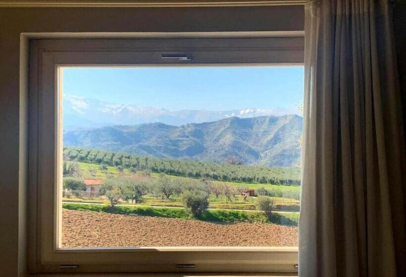 غرفة قياسية, B&b Case Pacifici