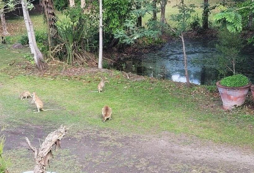 Дом 2 Спальни, Cairns Wildlife Guesthouse