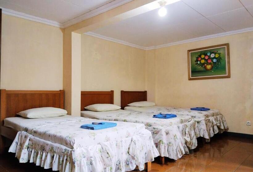 Семейный Номер, Grand Astoeti