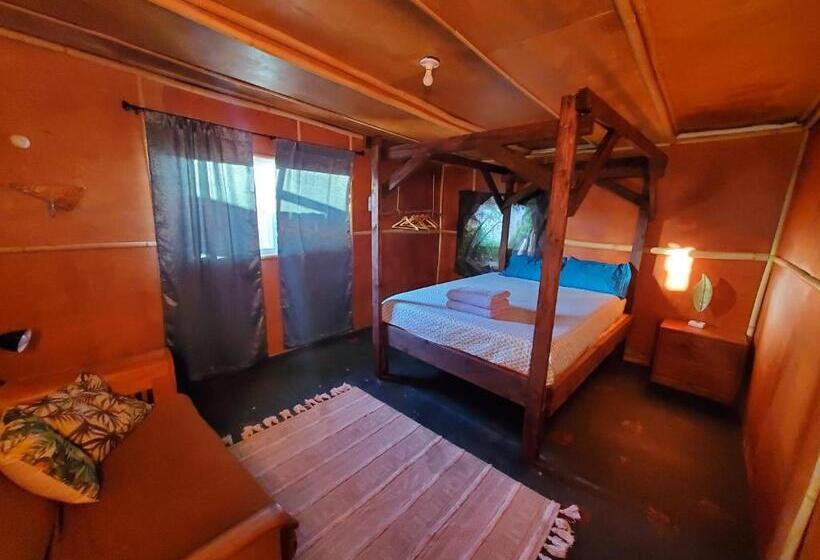 Номер Стандарт, Open Gate Hostel Hawaii