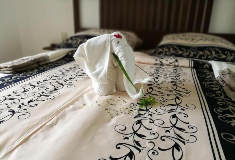 기본룸, Samsara