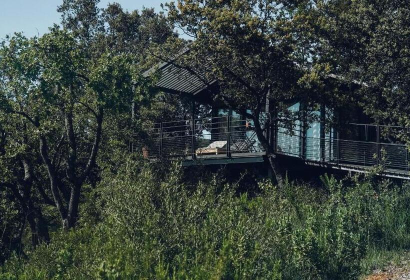 수피리어 코티지, Domaine Monte Verdi