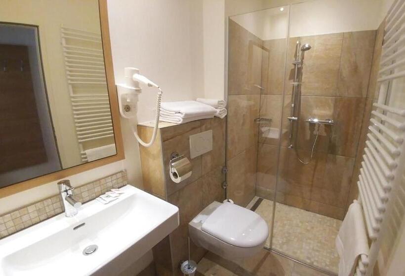 スタンダードシングルルーム, Weinhotel Rieder