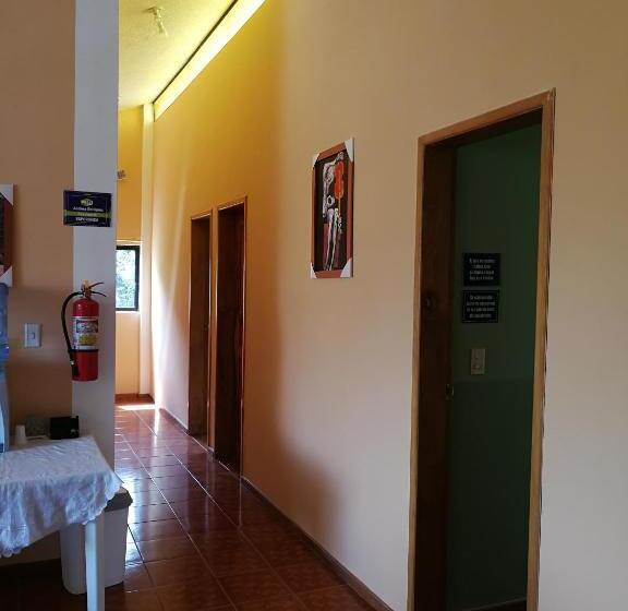 이코노미 룸, Chapelet Hostal