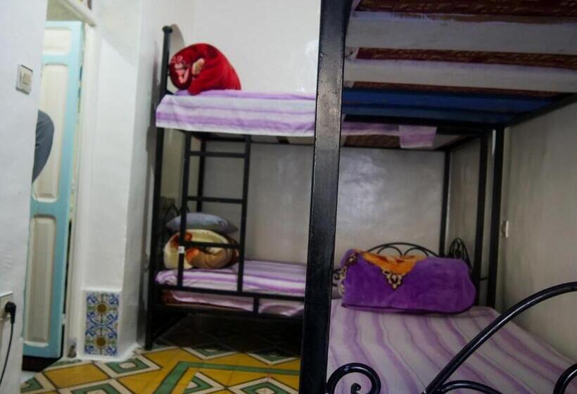 共用房间的床, Hostel Aline