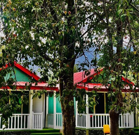 اتاق خانوادگی, The Mountain Cottage Skardu