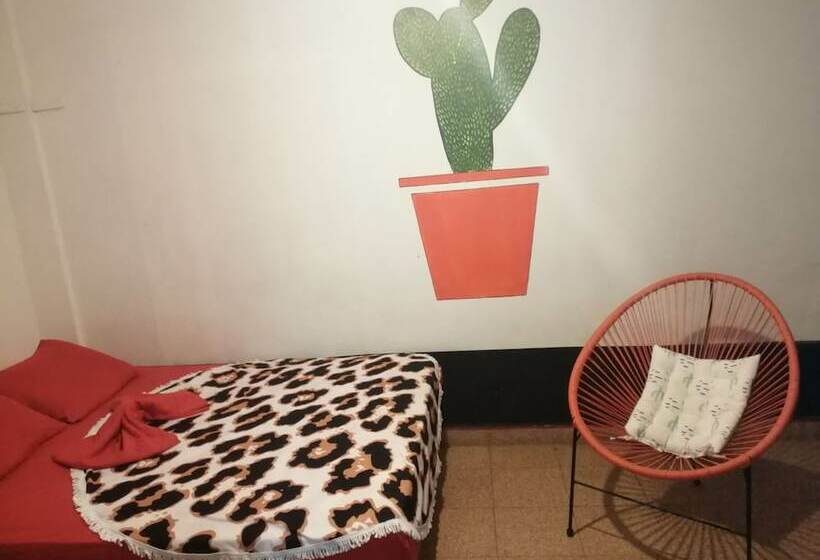 Номер Стандарт, Zebulo Hostel