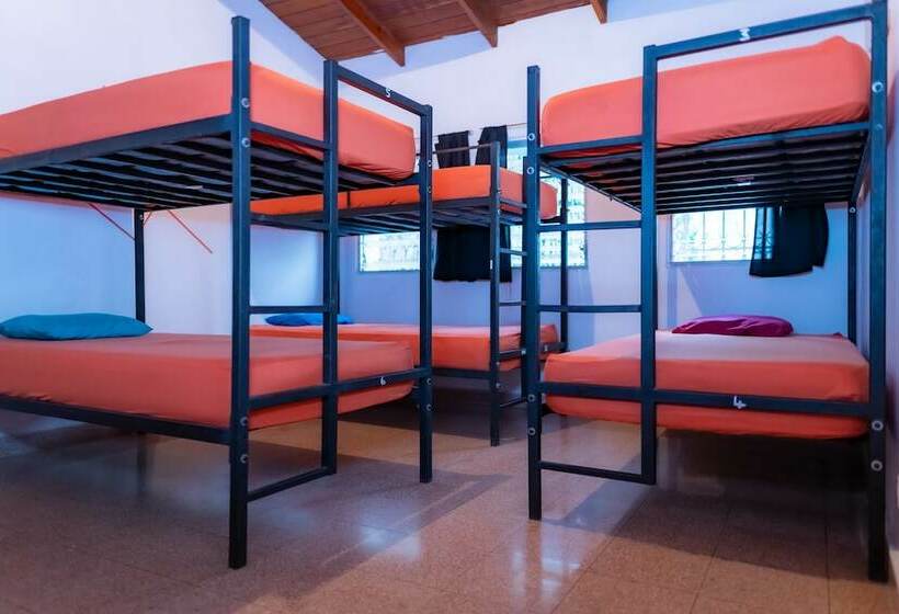 Кровать в Общей Комнате, Zebulo Hostel