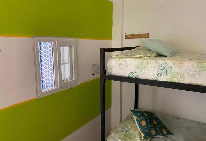 Трехместный Номер Базовый, Zebulo Hostel