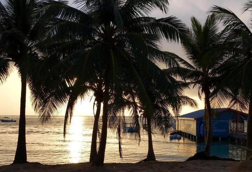 سوئیت با تخت بزرگ, The Palapa House