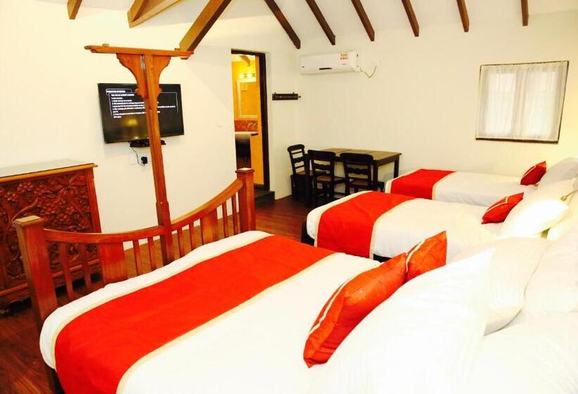 Дом 1 Спальня, Lar Amorosa   Portuguese Stay In Goa
