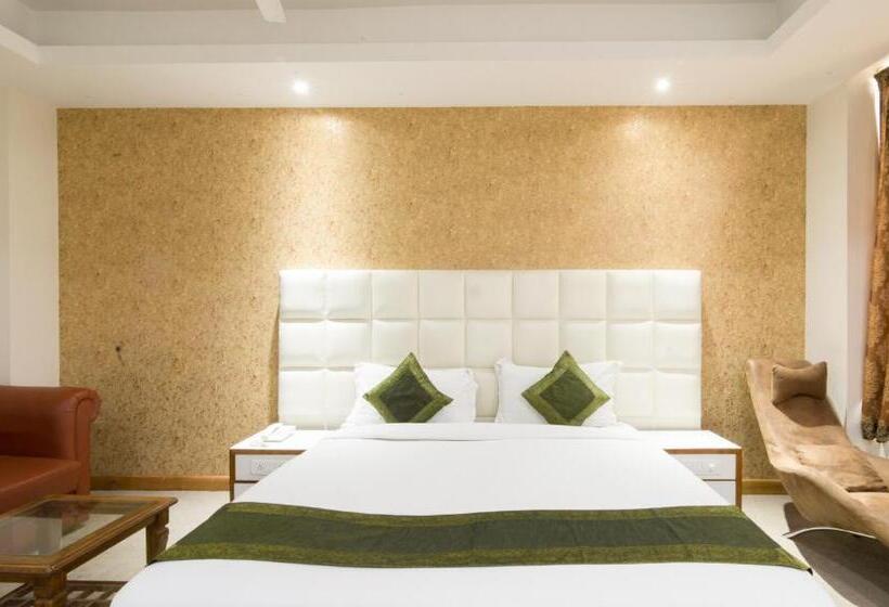 豪华房间, Treebo House Inn