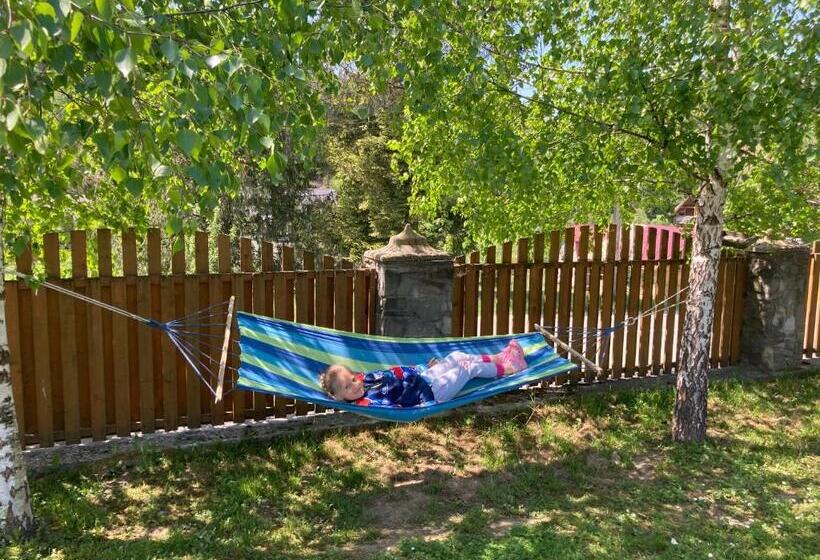 اتاق استاندارد, Karpatskyi Maetok