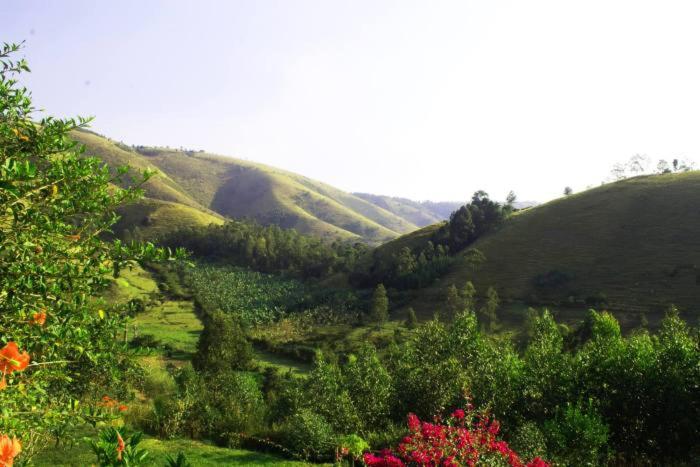 اتاق لوکس, Nyore Hillside Retreat