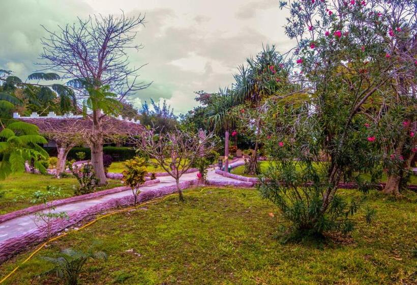 이코노미 룸, Zanzi Rest Bungalow