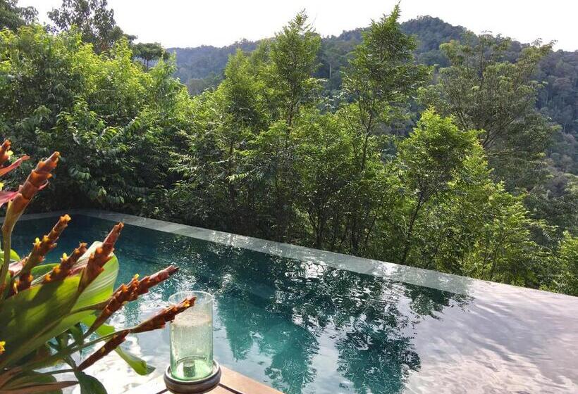 Бунгало Стандарт Вид на Сад, The Shorea