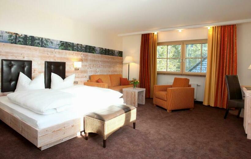 스탠다드 룸 호수 전망, Berghotel Mummelsee