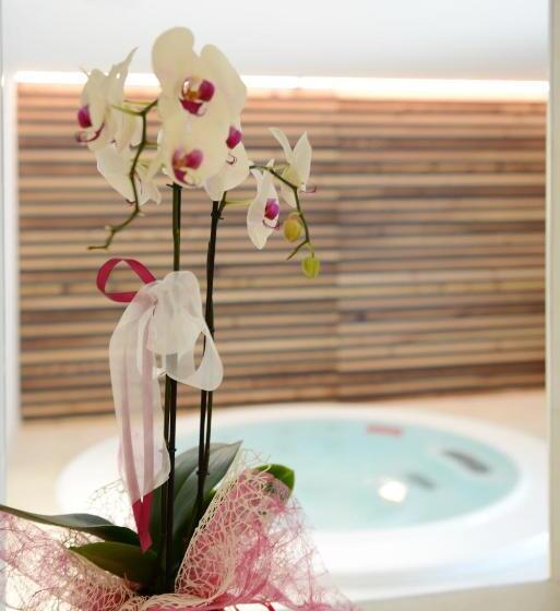 수피리어 룸, Dolomeet Boutique