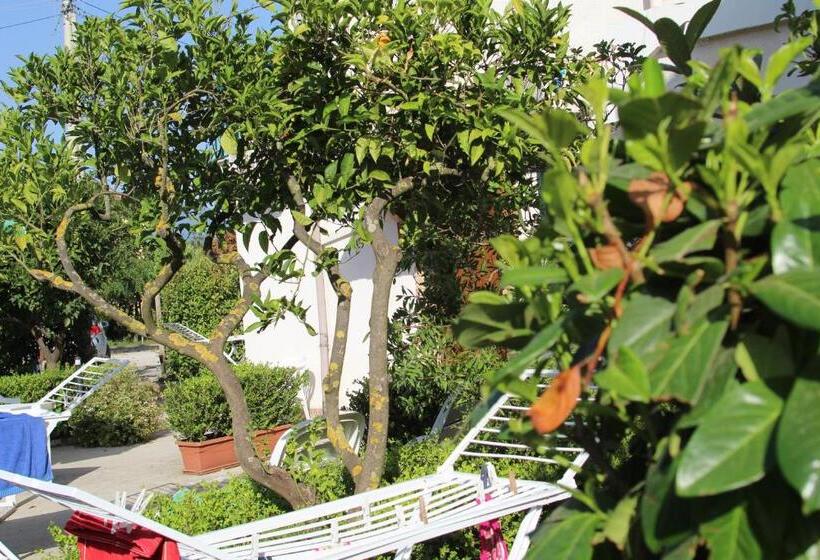 Четырехместный Номер Классик, B&b Country House Il Grappolo