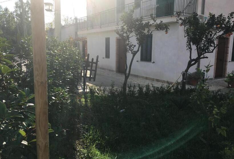 Номер Economy, B&b Country House Il Grappolo