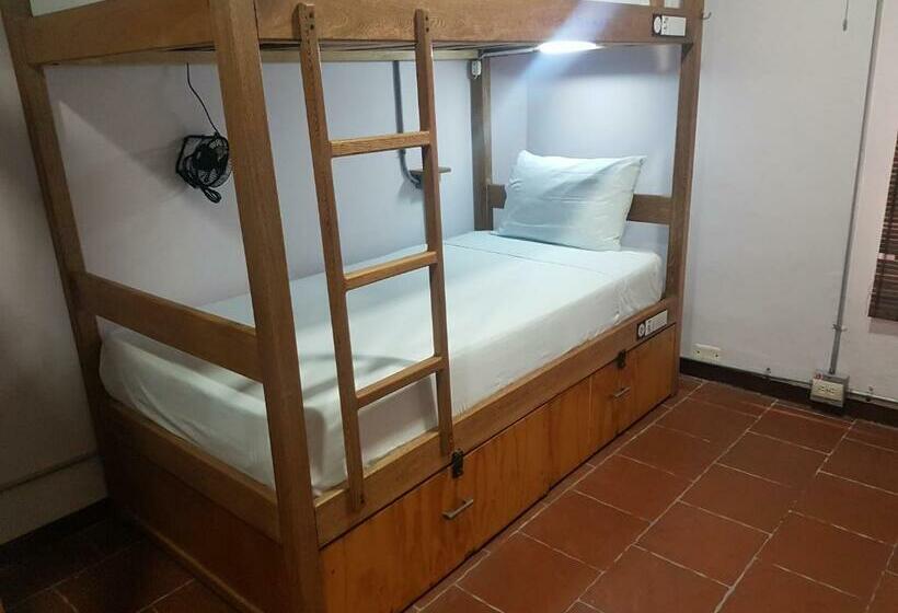 공동 객실, Purple Monkey Hostel