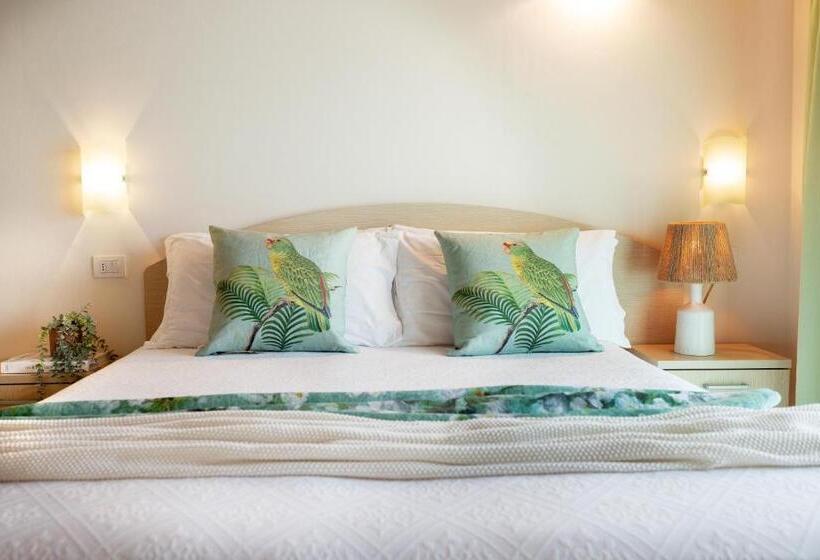 Quarto Estandar, Balaton