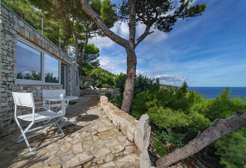 Стандартный Номер Кровать Кинг, La Casa Del Fico