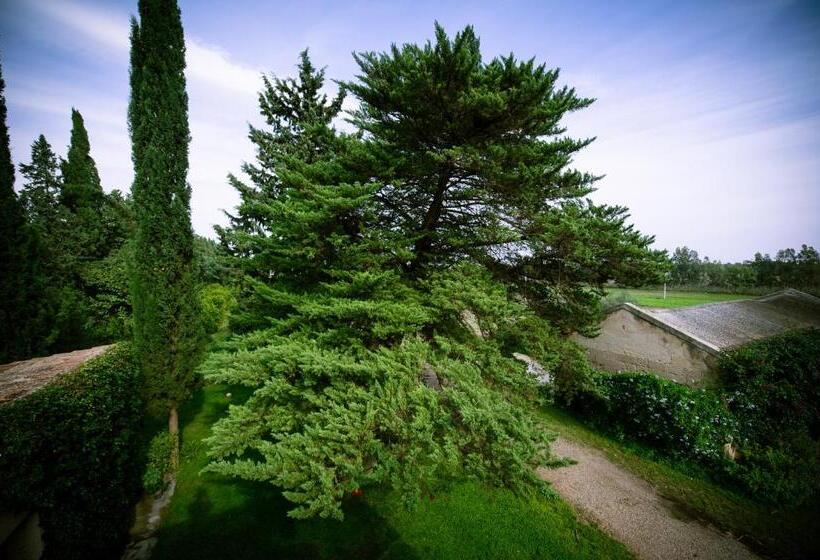 اتاق استاندارد, Masseria Perronello Country House