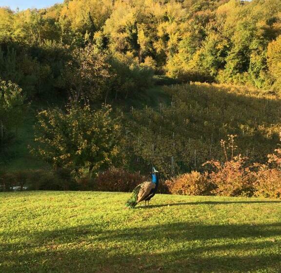标准间, Agriturismo Lemire