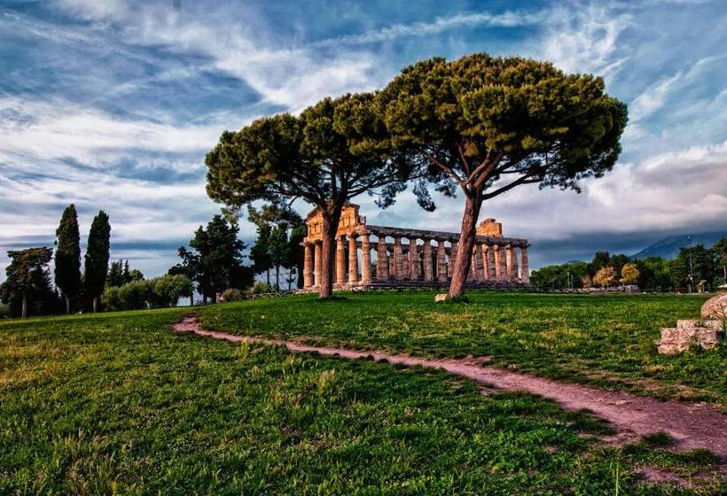 Индивидуальный Номер Классика, Royal Paestum