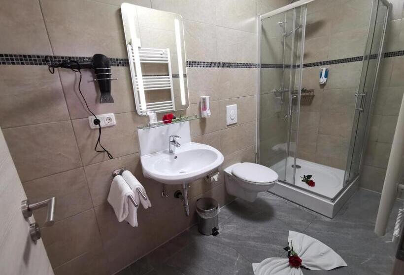Номер Стандарт Трехместный, Garni City