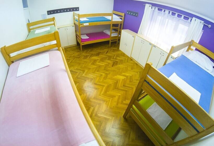 共用房间的床, Whole Wide World Hostel