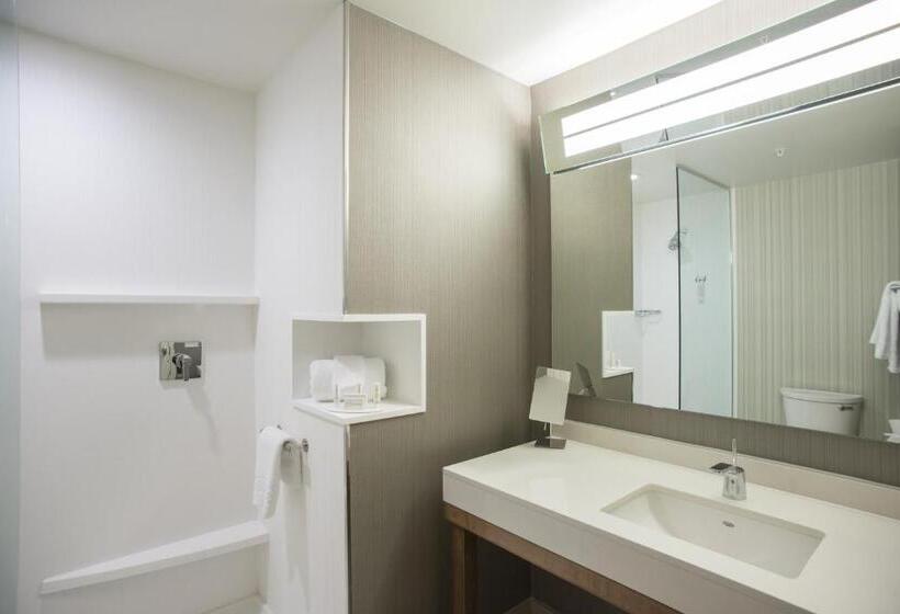 Люкс, Courtyard By Marriott Albany Clifton Park