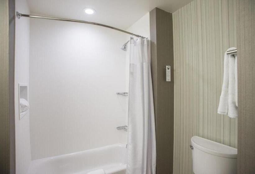 Номер Стандарт Кровать Кинг Адаптированный для Инвалидов, Courtyard By Marriott Albany Clifton Park