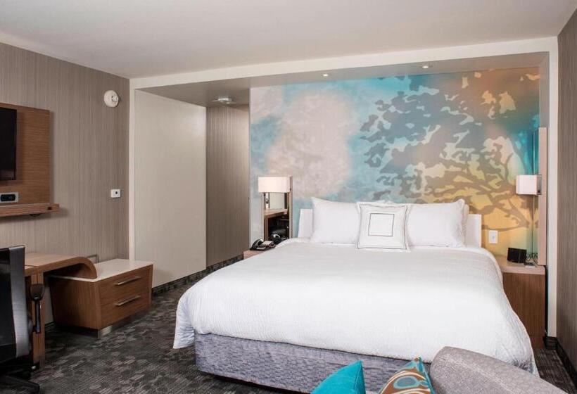 Стандартный Номер Кровать Кинг, Courtyard By Marriott Albany Clifton Park