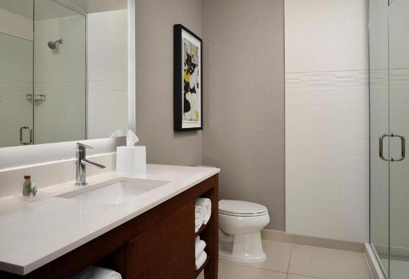 스탠다드 스튜디오 킹침대, Residence Inn By Marriott Dallas Downtown
