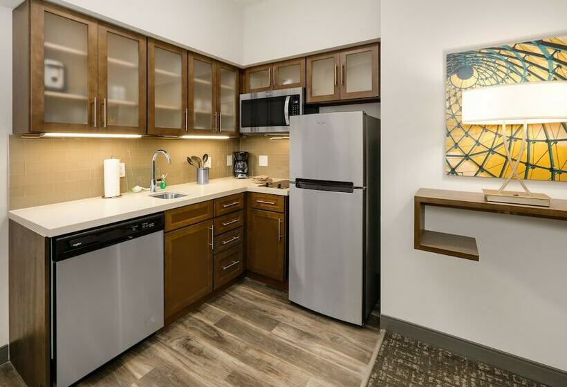 标准工作室, Staybridge Suites   Oklahoma City   Downtown, An Ihg