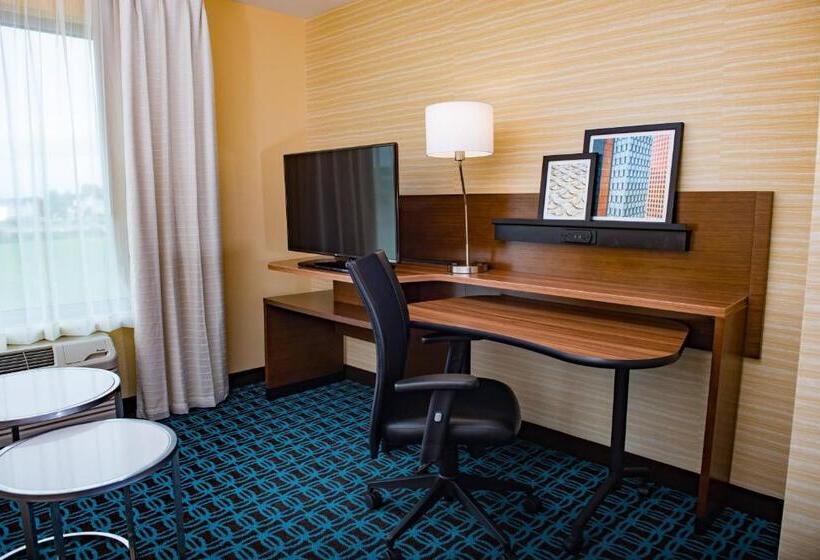 带大床的套房, Fairfield Inn & Suites By Marriott Anderson