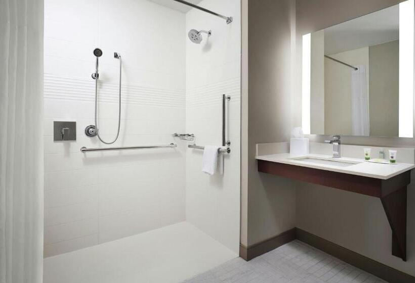 Estúdio standard Cama King, TownePlace Suites by Marriott New Orleans Downtown/Canal Street
