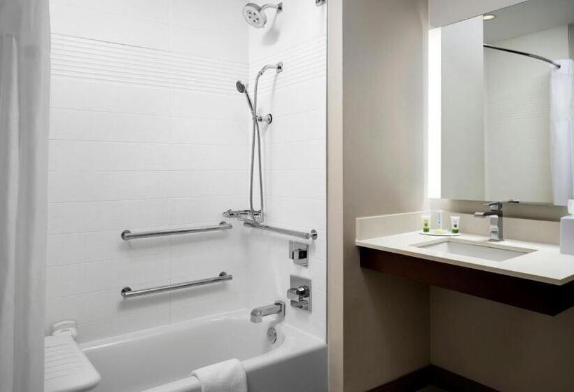 Suíte Cama King, TownePlace Suites by Marriott New Orleans Downtown/Canal Street