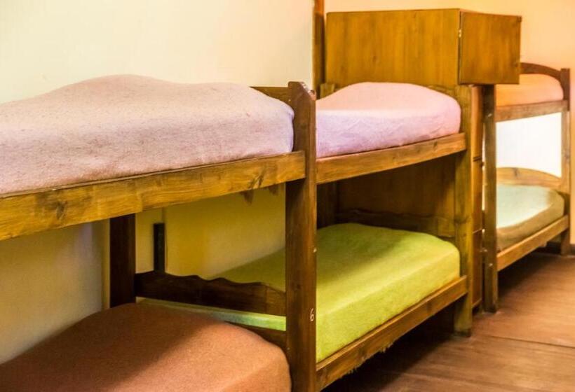 Кровать в Общей Комнате, Hostel Casagrande   Adults Only