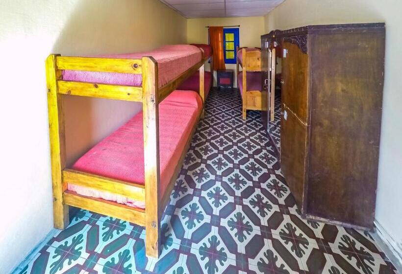 Кровать в Общей Комнате, Hostel Casagrande   Adults Only